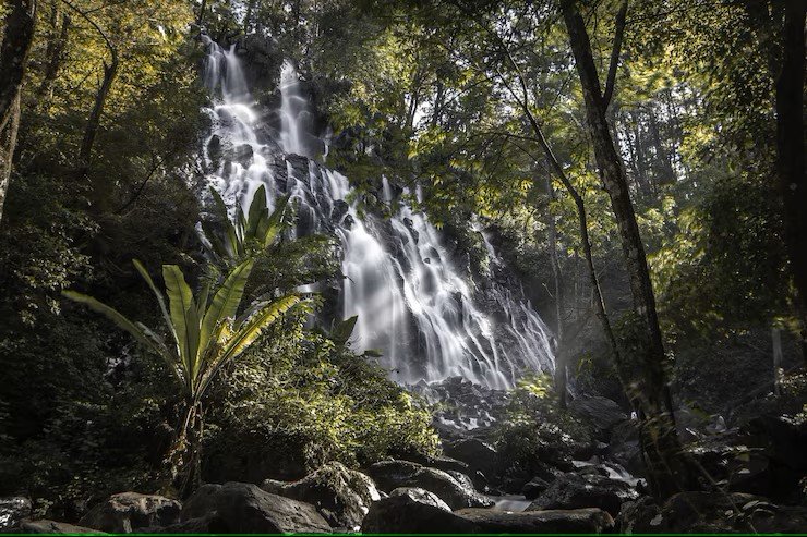 Roadside view of the falls